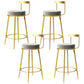 Glam Metal Barstool Velvet Footrest Low BackStool in Matte Finish for Indoor