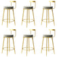 Glam Metal Barstool Velvet Footrest Low BackStool in Matte Finish for Indoor