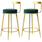 Glam Metal Barstool Velvet Footrest Low BackStool in Matte Finish for Indoor