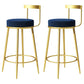 Glam Metal Barstool Velvet Footrest Low BackStool in Matte Finish for Indoor