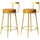 Glam Metal Barstool Velvet Footrest Low BackStool in Matte Finish for Indoor