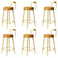 Glam Metal Barstool Velvet Footrest Low BackStool in Matte Finish for Indoor