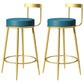 Glam Metal Barstool Velvet Footrest Low BackStool in Matte Finish for Indoor