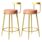 Glam Metal Barstool Velvet Footrest Low BackStool in Matte Finish for Indoor