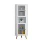 Contemporary Storage Cabinet with Shelf and Glass 2 - Door Cabinet Clearhalo 'Cabinets & Chests' 'cabinets_chests' 'furn' 'furn_cabinets_chests' 'Furniture' 'Living Room Furniture' 5715826