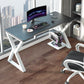 23,6 "W ergonomic Gaming Desk Recking Computer Contemporary Computer Bureau