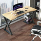 23,6 "W ergonomic Gaming Desk Recking Computer Contemporary Computer Bureau