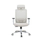 Fixed Arms Desk Chair High-back Ergonomic Office Chair Mesh Desk Chair