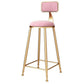 Glam Metal Barstool Velvet Footrest Stool in Matte Finish for Indoor Pink 1 Piece Clearhalo 'Bar Furniture' 'Bar Stools' 'bar_stools' 'furn' 'furn_bar_stools' 'Furniture' 'Kitchen & Dining Furniture' 5725955