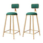 Glam Metal Barstool Velvet Footrest Stool in Matte Finish for Indoor Blackish Green 2 Piece Set Clearhalo 'Bar Furniture' 'Bar Stools' 'bar_stools' 'furn' 'furn_bar_stools' 'Furniture' 'Kitchen & Dining Furniture' 5725967