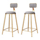 Glam Metal Barstool Velvet Footrest Stool in Matte Finish for Indoor Grey 2 Piece Set Clearhalo 'Bar Furniture' 'Bar Stools' 'bar_stools' 'furn' 'furn_bar_stools' 'Furniture' 'Kitchen & Dining Furniture' 5725983