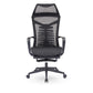 Mesh Office Desk Chair High Back Black Office Chair with Arms Contemporary Chair 1 Piece Nylon Foam Mesh Clearhalo 'furn' 'furn_office_chair' 'Furniture' 'Office Chairs' 'Office Furniture' 'office_chair' 5726632