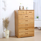Contemporary Brown Accent Chest Rectangle Chest with Drawers