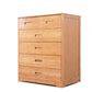 Contemporary Brown Accent Chest Rectangle Chest with Drawers
