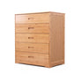 Contemporary Brown Accent Chest Rectangle Chest with Drawers