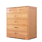 Contemporary Brown Accent Chest Rectangle Chest with Drawers