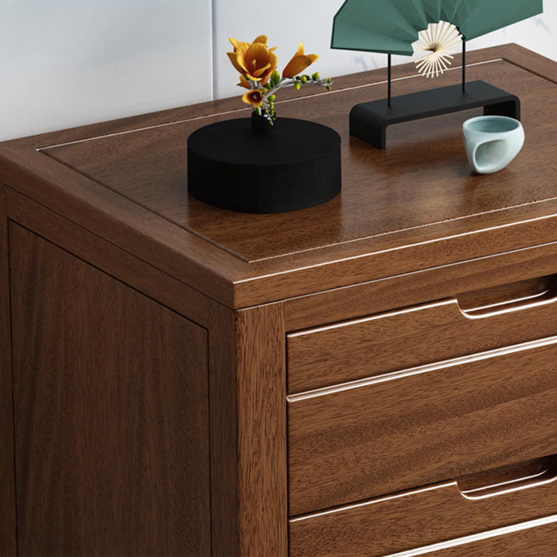 Rectángulo Cofre de acento de nogal marrón con cajones cofre moderno