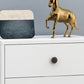 Modern Accent Chest with Soft Close Drawers White Accent Cabinet Clearhalo 'Cabinets & Chests' 'cabinets_chests' 'furn' 'furn_cabinets_chests' 'Furniture' 'Living Room Furniture' 5731137