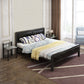 Contemporary Low Profile Panel Bed Upholstered Standard Bed in Black