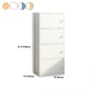 Contemporary Matte Finish Dresser Vertical Wood Storage Chest