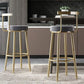 Glam Armless Backrest Counter Stoo Iron Bar Stool with Cushion and Pedal for Kitchen