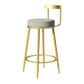 Glam Armless Backrest Counter Stoo Iron Bar Stool with Cushion and Pedal for Kitchen