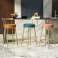 Glam Armless Backrest Counter Stoo Iron Bar Stool with Cushion and Pedal for Kitchen