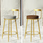 Glam Armless Backrest Counter Stoo Iron Bar Stool with Cushion and Pedal for Kitchen