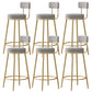 Glam Fabric Bar Stools Low Back Round Seat Barstool with 4 Gold Iron Legs Grey 6 Piece Set Clearhalo 'Bar Furniture' 'Bar Stools' 'bar_stools' 'furn' 'furn_bar_stools' 'Furniture' 'Kitchen & Dining Furniture' 5738349