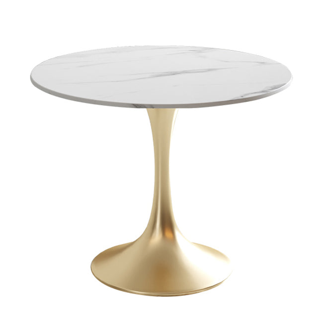 Modern Round Dining Table Sintered Stone Tulip Table for Dining Room Gold 23.6"L x 23.6"W x 29.5"H Without Chairs Clearhalo 'Dining Tables & Seating' 'Dining Tables' 'dining_table' 'furn' 'furn_dining_table' 'Furniture' 'Kitchen & Dining Furniture' 5751984