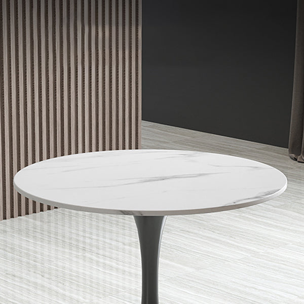 Modern Round Dining Table Sintered Stone Tulip Table for Dining Room Clearhalo 'Dining Tables & Seating' 'Dining Tables' 'dining_table' 'furn' 'furn_dining_table' 'Furniture' 'Kitchen & Dining Furniture' 5751986