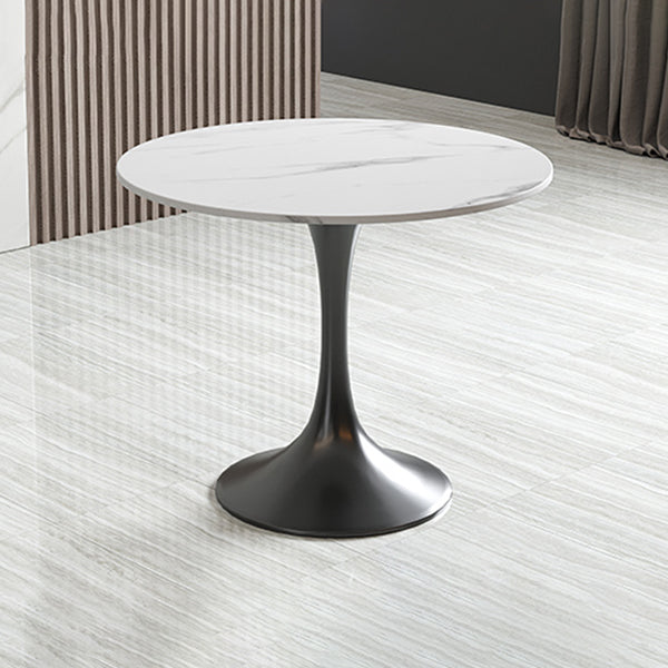 Modern Round Dining Table Sintered Stone Tulip Table for Dining Room Clearhalo 'Dining Tables & Seating' 'Dining Tables' 'dining_table' 'furn' 'furn_dining_table' 'Furniture' 'Kitchen & Dining Furniture' 5751991