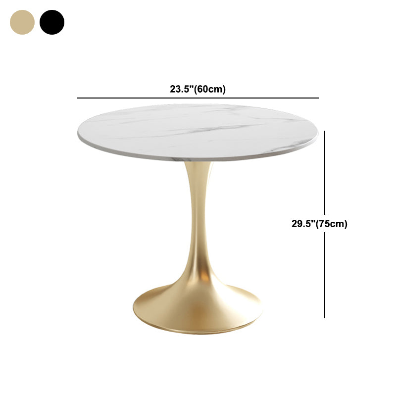 Modern Round Dining Table Sintered Stone Tulip Table for Dining Room Clearhalo 'Dining Tables & Seating' 'Dining Tables' 'dining_table' 'furn' 'furn_dining_table' 'Furniture' 'Kitchen & Dining Furniture' 5751993