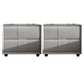 Rectangular Two Drawer Nightstand Contemporary 15.7" H Night Table Light Gray 2 Piece Set Clearhalo 'Bedroom Furniture' 'furn' 'furn_night_stand' 'Furniture' 'night_stand' 'Nightstands' 5755148