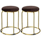 Glam Mental Leg Solid Ottoman Velvet Standard Fade Resistant Solid Color Round Ottoman Brown 2 Piece Set Clearhalo 'furn' 'furn_ottomans_poufs' 'Furniture' 'Living Room Furniture' 'Ottomans & Poufs' 'ottomans_poufs' 5771292
