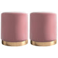Glam Velvet Pouf Chair Plain Cylinder Shape Metal Frame Water Resistant Ottoman Footrest Pink 2 Piece Set Clearhalo 'furn' 'furn_ottomans_poufs' 'Furniture' 'Living Room Furniture' 'Ottomans & Poufs' 'ottomans_poufs' 5771299