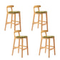 Modern Rubberwood Dessert Shop Barstool Footrest Matte Finish Stool Green 4 Piece Set Clearhalo 'Bar Furniture' 'Bar Stools' 'bar_stools' 'furn' 'furn_bar_stools' 'Furniture' 'Kitchen & Dining Furniture' 5777839