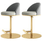 Adjustable Height Armless ar Chair Modern Upholstered Rotatable Bar Stool Grey-Gold 2 Piece Set Counter Stool (23.5"H) Clearhalo 'Bar Furniture' 'Bar Stools' 'bar_stools' 'furn' 'furn_bar_stools' 'Furniture' 'Kitchen & Dining Furniture' 5790779
