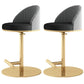 Adjustable Height Armless ar Chair Modern Upholstered Rotatable Bar Stool Black-Gold 2 Piece Set Counter Stool (23.5"H) Clearhalo 'Bar Furniture' 'Bar Stools' 'bar_stools' 'furn' 'furn_bar_stools' 'Furniture' 'Kitchen & Dining Furniture' 5790782
