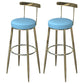 Industrial Low Back Counter Stool Armless Bar Chair with Metal Footrest