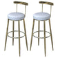 Industrial Low Back Counter Stool Armless Bar Chair with Metal Footrest