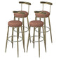Industrial Low Back Counter Stool Armless Bar Chair with Metal Footrest