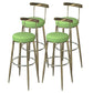 Industrial Low Back Counter Stool Armless Bar Chair with Metal Footrest