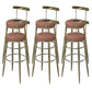 Industrial Low Back Counter Stool Armless Bar Chair with Metal Footrest