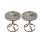 21.65" Tall Contemporary Style Side End Table Metal Frame Side Accent Table Gold Gray 2 Clearhalo 'Coffee & Accent Tables' 'End & Side Tables' 'end_side_tables' 'furn' 'furn_end_side_tables' 'Furniture' 'Living Room Furniture' 5793018