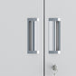 Contemporary Style Wardrobe Metal Wardrobe Closet with Doors