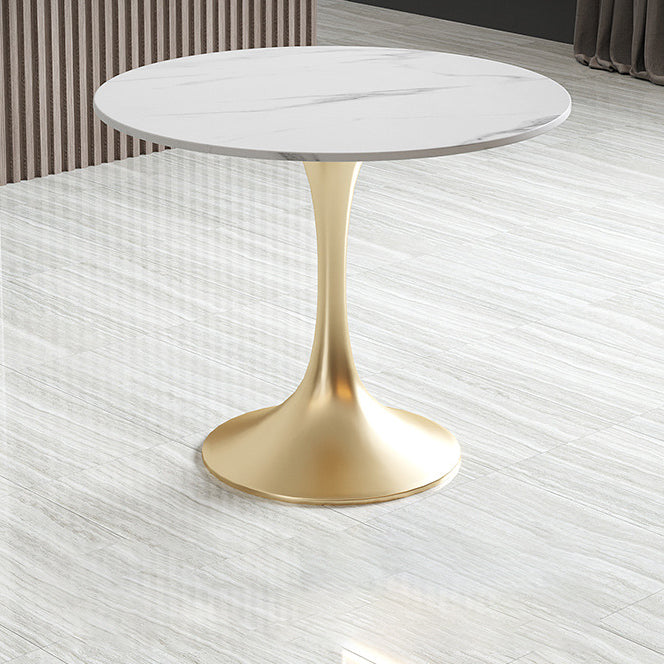 Metal Traditional Luxury Round Table White Sintered Stone Top Table with Tulip Base Gold 23.6"L x 23.6"W x 29.5"H Without Chairs Clearhalo 'Dining Tables & Seating' 'Dining Tables' 'dining_table' 'furn' 'furn_dining_table' 'Furniture' 'Kitchen & Dining Furniture' 5806321