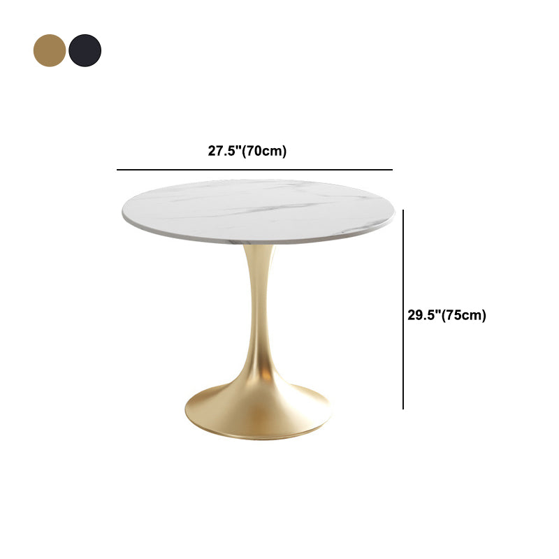Metal Traditional Luxury Round Table White Sintered Stone Top Table with Tulip Base Clearhalo 'Dining Tables & Seating' 'Dining Tables' 'dining_table' 'furn' 'furn_dining_table' 'Furniture' 'Kitchen & Dining Furniture' 5806323