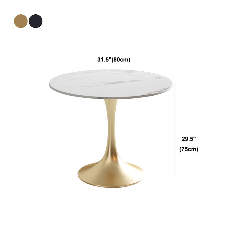 Metal Traditional Luxury Round Table White Sintered Stone Top Table with Tulip Base Clearhalo 'Dining Tables & Seating' 'Dining Tables' 'dining_table' 'furn' 'furn_dining_table' 'Furniture' 'Kitchen & Dining Furniture' 5806324