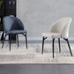 Solid Back Side Chair Metal Leg Modern Contemporary Indoor-Outdoor Chair